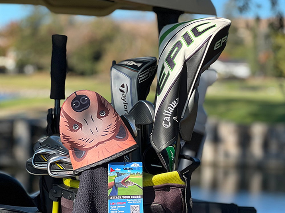 Photo of Bear Product acting as a golf club head cover